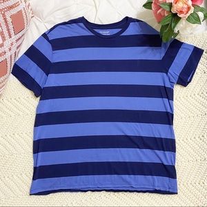 Roundtree & Yorke Blue Striped Tee Shirt